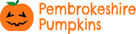 Pembrokeshire Pumpkins Halloween ticketing system 